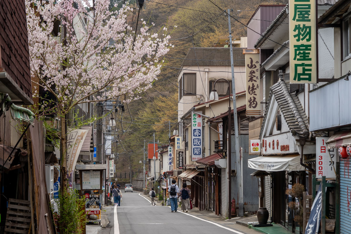 Traditional street in Shima Onsen, a quiet hot spring town near Tokyo, with cherry blossoms in spring