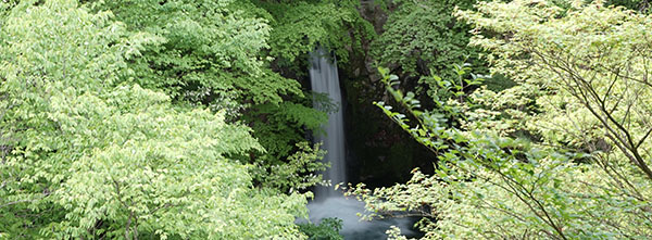 小泉の滝