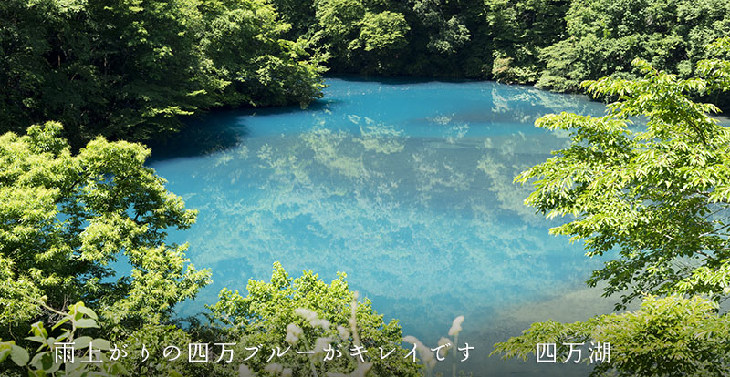 四万温泉柏屋旅館