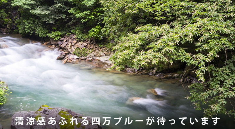 四万温泉柏屋旅館