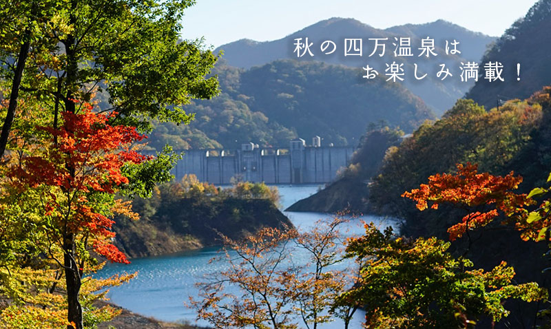 四万温泉柏屋旅館