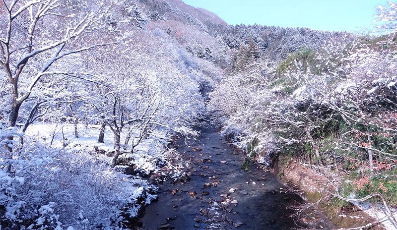 四万温泉柏屋旅館