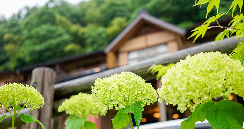 四万温泉柏屋旅館