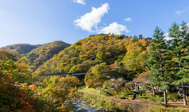 四万温泉柏屋旅館