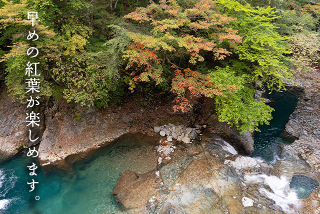 四万温泉柏屋旅館