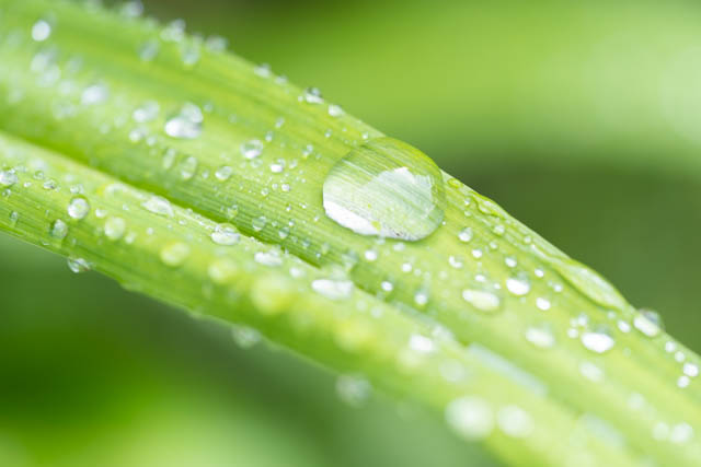 雨の四万温泉