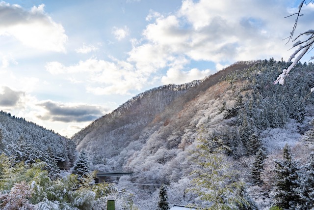 雪の朝