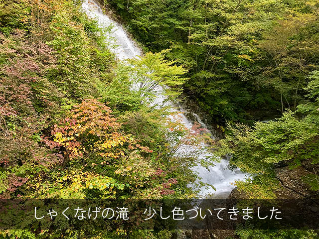 四万温泉柏屋旅館