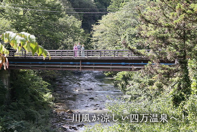 四万温泉柏屋旅館