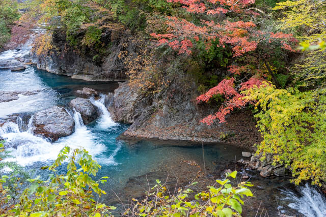 四万温泉柏屋旅館