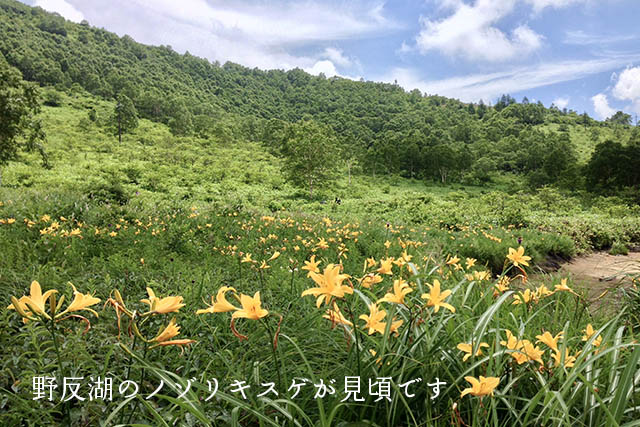 四万温泉柏屋旅館