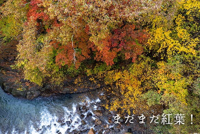 四万温泉柏屋旅館