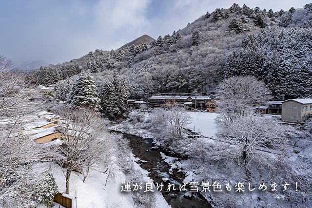 四万温泉柏屋旅館