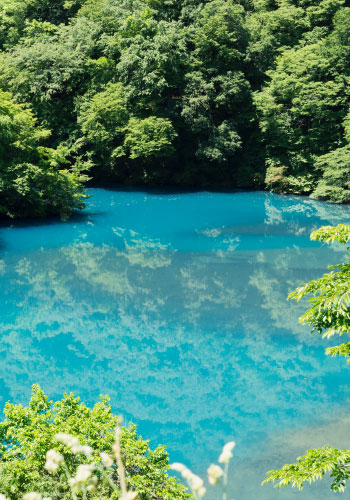 四万温泉の豊かな自然